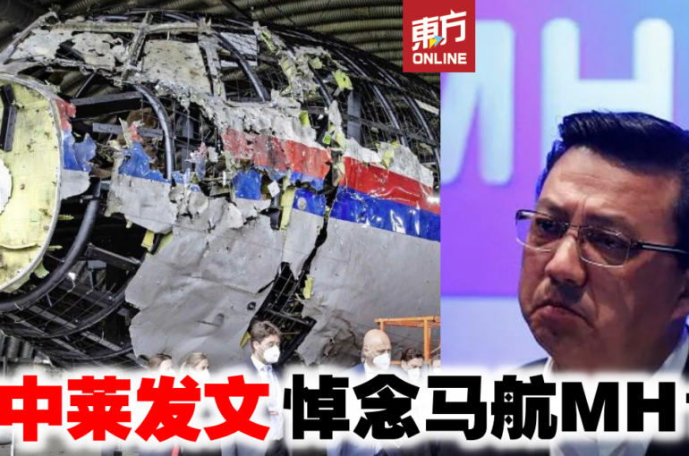 廖中莱发文悼念马航MH17