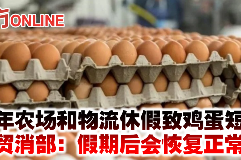 新年农场和物流休假致鸡蛋短缺　贸消部：假期后会恢复正常