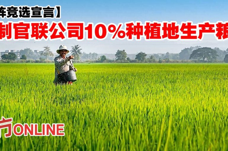 【国阵竞选宣言】强制官联公司10%种植地生产粮食
